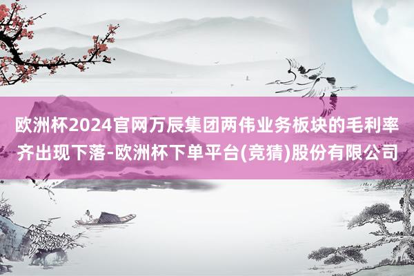 欧洲杯2024官网万辰集团两伟业务板块的毛利率齐出现下落-欧洲杯下单平台(竞猜)股份有限公司