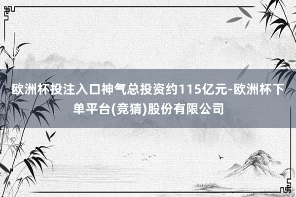 欧洲杯投注入口神气总投资约115亿元-欧洲杯下单平台(竞猜)股份有限公司