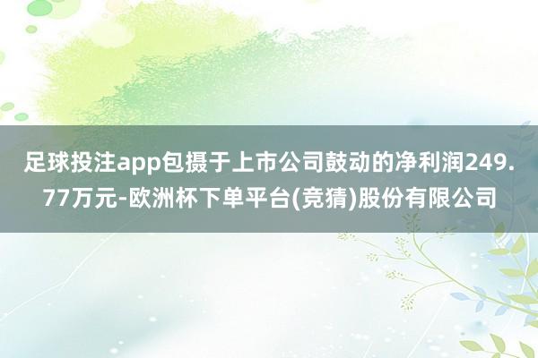 足球投注app包摄于上市公司鼓动的净利润249.77万元-欧洲杯下单平台(竞猜)股份有限公司