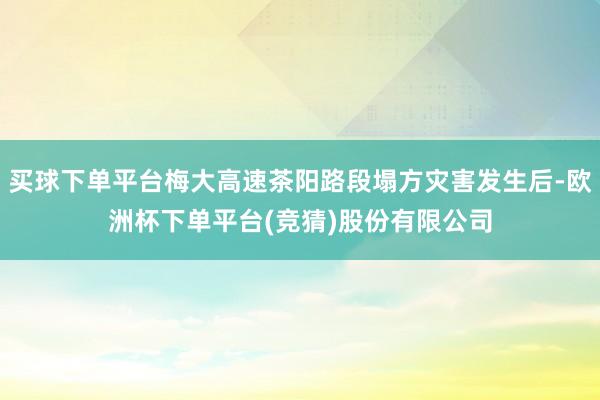 买球下单平台梅大高速茶阳路段塌方灾害发生后-欧洲杯下单平台(竞猜)股份有限公司