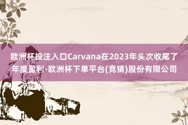 欧洲杯投注入口Carvana在2023年头次收尾了年度盈利-欧洲杯下单平台(竞猜)股份有限公司