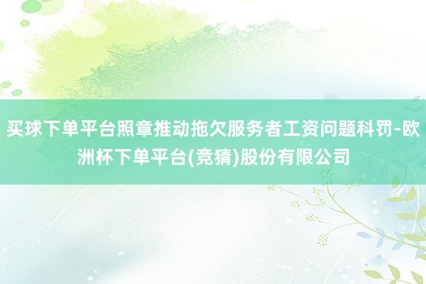 买球下单平台照章推动拖欠服务者工资问题科罚-欧洲杯下单平台(竞猜)股份有限公司