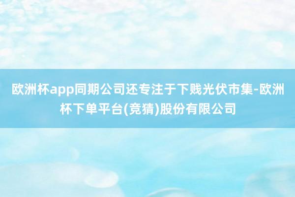 欧洲杯app同期公司还专注于下贱光伏市集-欧洲杯下单平台(竞猜)股份有限公司