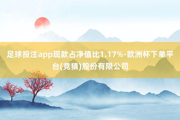 足球投注app现款占净值比1.17%-欧洲杯下单平台(竞猜)股份有限公司