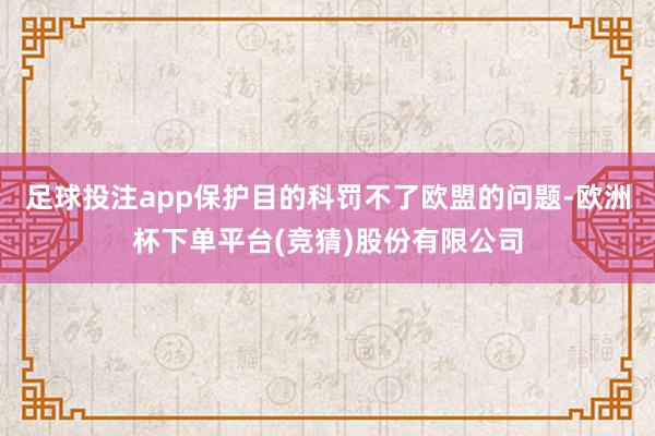 足球投注app保护目的科罚不了欧盟的问题-欧洲杯下单平台(竞猜)股份有限公司