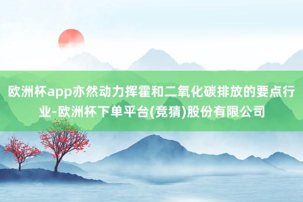 欧洲杯app亦然动力挥霍和二氧化碳排放的要点行业-欧洲杯下单平台(竞猜)股份有限公司