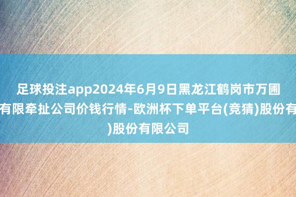 足球投注app2024年6月9日黑龙江鹤岗市万圃源蔬菜有限牵扯公司价钱行情-欧洲杯下单平台(竞猜)股份有限公司