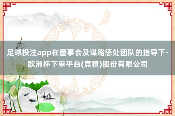 足球投注app在董事会及谋略惩处团队的指导下-欧洲杯下单平台(竞猜)股份有限公司