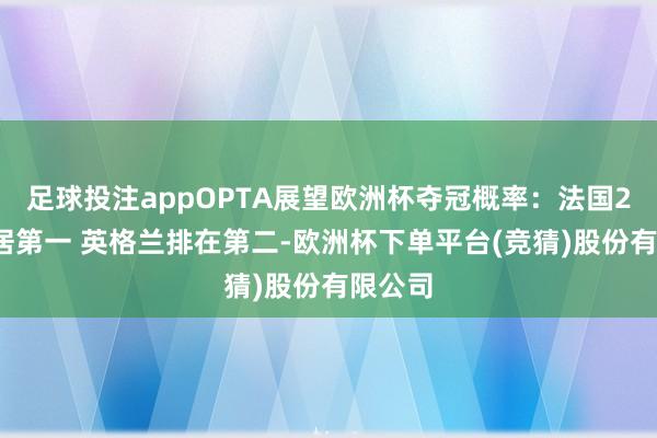 足球投注appOPTA展望欧洲杯夺冠概率：法国20%高居第一 英格兰排在第二-欧洲杯下单平台(竞猜)股份有限公司