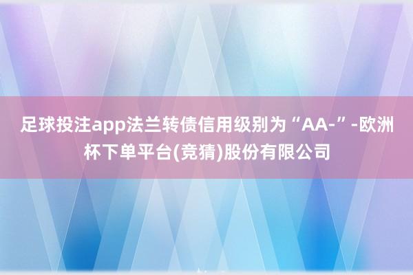 足球投注app法兰转债信用级别为“AA-”-欧洲杯下单平台(竞猜)股份有限公司