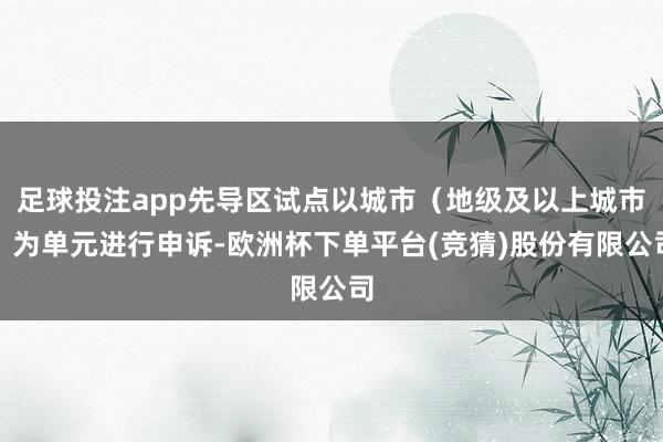 足球投注app先导区试点以城市（地级及以上城市）为单元进行申诉-欧洲杯下单平台(竞猜)股份有限公司