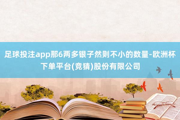 足球投注app那6两多银子然则不小的数量-欧洲杯下单平台(竞猜)股份有限公司