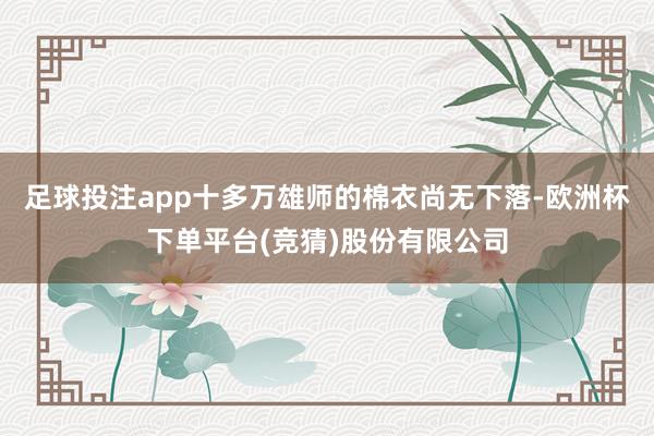 足球投注app十多万雄师的棉衣尚无下落-欧洲杯下单平台(竞猜)股份有限公司